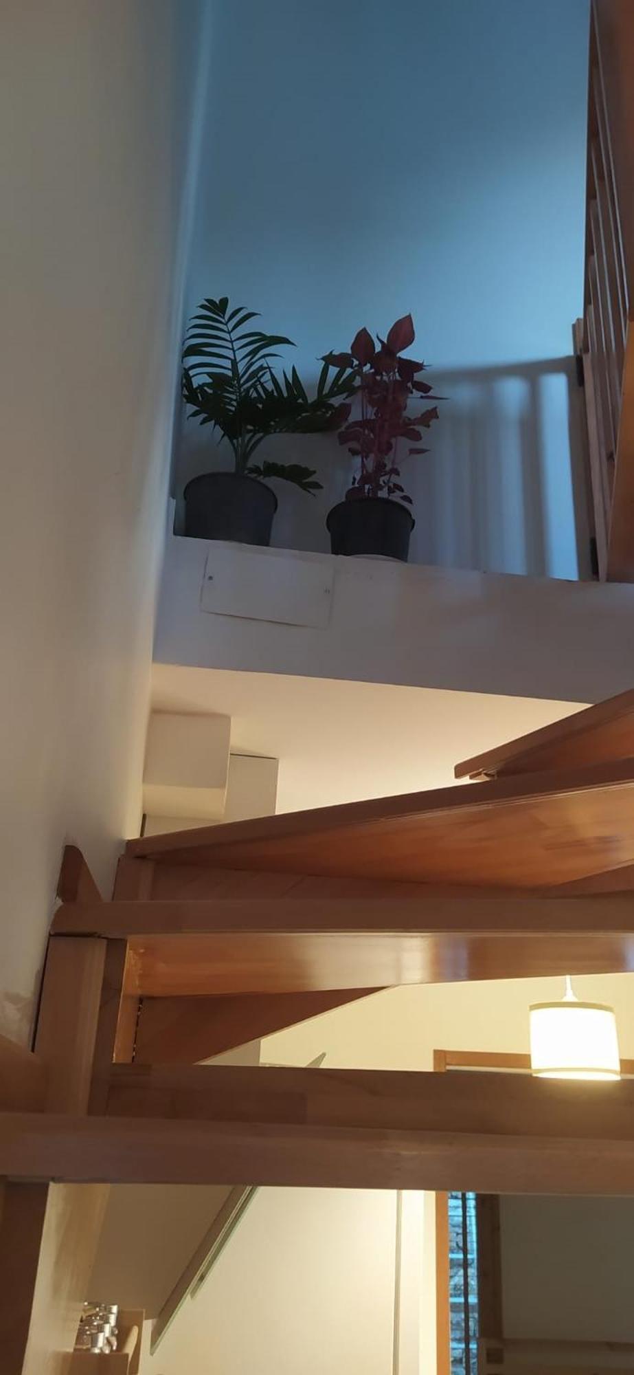 Chimera Pia Aparts Çıralı Kültér fotó